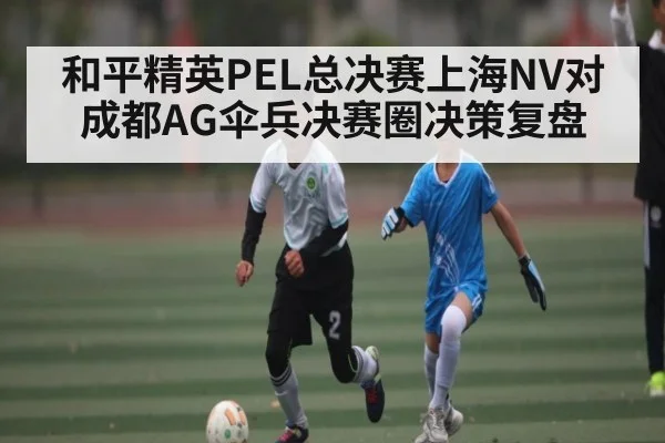 和平精英PEL总决赛上海NV对成都AG伞兵决赛圈决策复盘